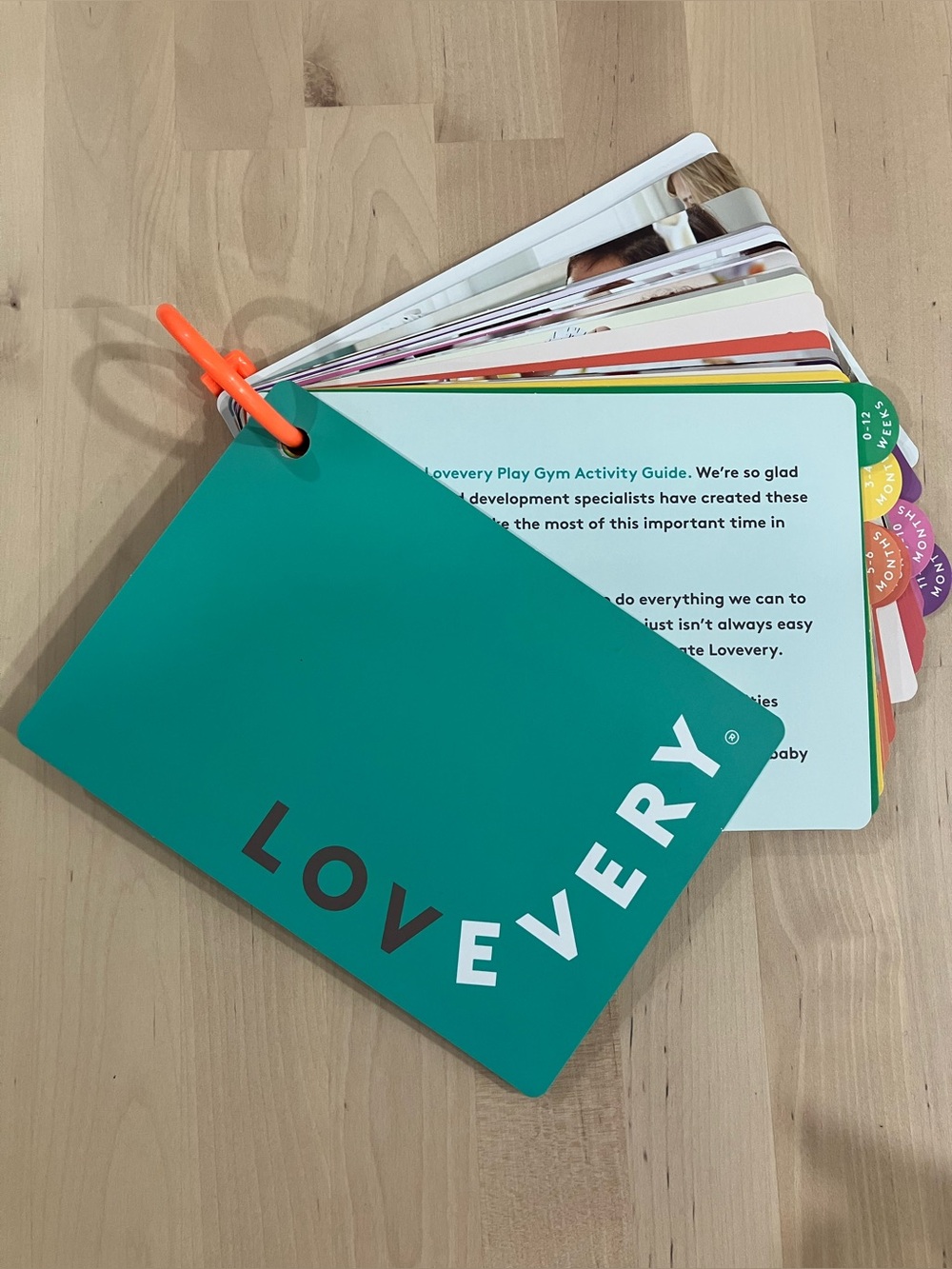 LOVEVERY play gym Play Guide only